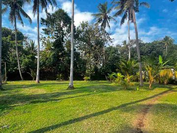 jual tanah kawasan villa dekat pantai pasut contour datar Los sungai di tabanan bali.