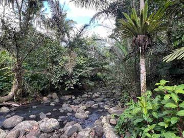 jual tanah kebun Los sungai bersih berbatu di wanagiri selemadeg tabanan bali.