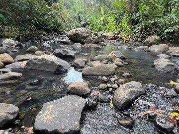 jual tanah kebun Los sungai bersih berbatu di wanagiri selemadeg tabanan bali.