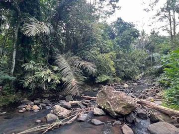 jual tanah kebun Los sungai bersih berbatu di wanagiri selemadeg tabanan bali.