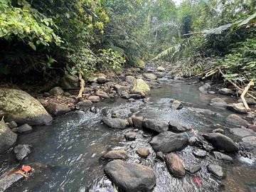 jual tanah kebun Los sungai bersih berbatu di wanagiri selemadeg tabanan bali.