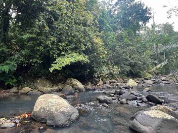 jual tanah kebun Los sungai bersih berbatu di wanagiri selemadeg tabanan bali.