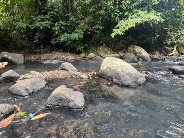 jual tanah kebun Los sungai bersih berbatu di wanagiri selemadeg tabanan bali.