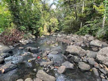 jual tanah kebun Los sungai bersih berbatu di wanagiri selemadeg tabanan bali.