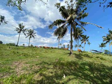 jual tanah Los tebing pantai surfing Balian tabanan bali.