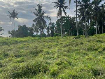 jual tanah Los tebing pantai surfing Balian tabanan bali.