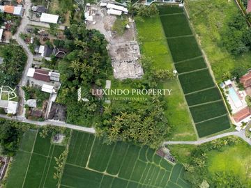 DISEWAKAN JANGKA PANJANG TANAH SELUAS 9 ARRE DI KEDUNGU