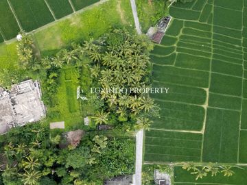DISEWAKAN JANGKA PANJANG TANAH SELUAS 9 ARRE DI KEDUNGU