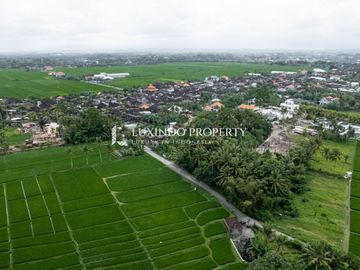 DISEWAKAN JANGKA PANJANG TANAH SELUAS 9 ARRE DI KEDUNGU