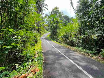jual tanah kebun view sawah, lembah dan gunung di penebel tabanan bali.