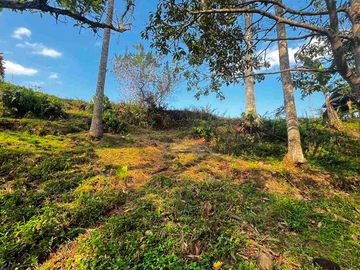 jual tanah kebun view sawah, lembah dan gunung di penebel tabanan bali.