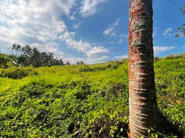 jual tanah kebun view sawah, lembah dan gunung di penebel tabanan bali.
