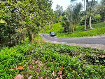 jual tanah kebun view sawah, lembah dan gunung di penebel tabanan bali.