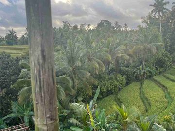 jual tanah dan bangunan villa view sawah terasering dan gunung yang cantik.