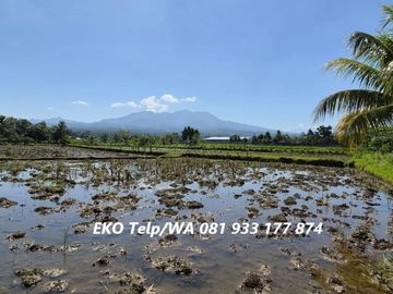 Dijual Tanah Pinggir Jalan di Lingsar Lombok Barat