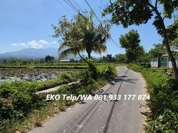 Dijual Tanah Pinggir Jalan di Lingsar Lombok Barat