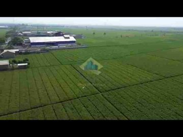 *DIJUAL* Tanah di jl raya Tonjong - Terate
Banten Lama - Kramatwatu, Serang