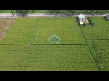 *DIJUAL* Tanah di jl raya Tonjong - Terate
Banten Lama - Kramatwatu, Serang