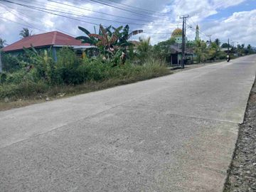 Jual Tanah Murah 25 X 100 di Kab.Sorong.Aimas Unit 2.