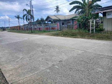Jual Tanah Murah 25 X 100 di Kab.Sorong.Aimas Unit 2.