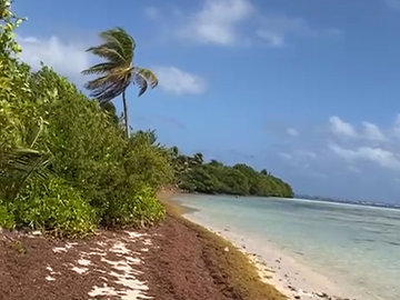 ¡Aprovecha! playa xamach venta terreno