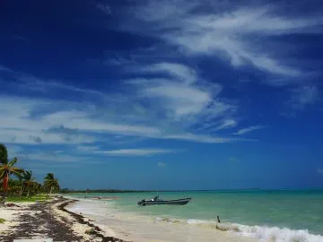 Hermoso Terreno Punta allen