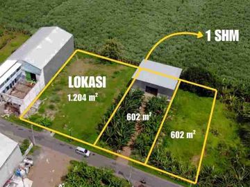 Tanah Murah siap Bangun di Jl Kenongo, Tulangan, Sda