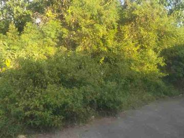 TANAH MURAH KUTUH KUTA SELATAN BALI