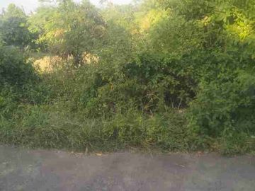 TANAH MURAH KUTUH KUTA SELATAN BALI