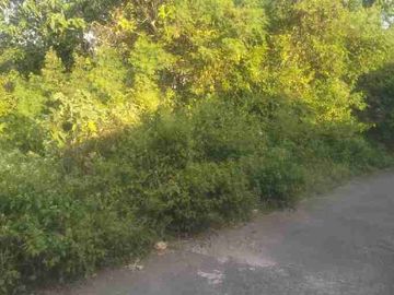 TANAH MURAH KUTUH KUTA SELATAN BALI