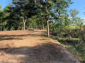 Tanah Pekarangan Area Wisata Pantai Pancer Dorr Pacitan Jawa Timu