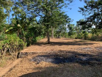 Tanah Pekarangan Area Wisata Pantai Pancer Dorr Pacitan Jawa Timu