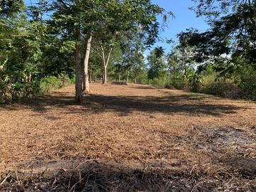 Tanah Pekarangan Area Wisata Pantai Pancer Dorr Pacitan Jawa Timu