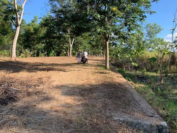 Tanah Pekarangan Area Wisata Pantai Pancer Dorr Pacitan Jawa Timu