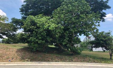 Ayala Westgrove Heights 468sqm lot For Sale