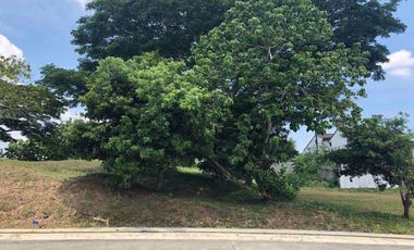 Ayala Westgrove Heights lot for sale 468sqm
