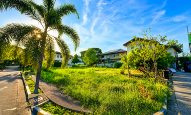 Palms Pointe Filinvest Alabang Lot for Sale 333sqm
