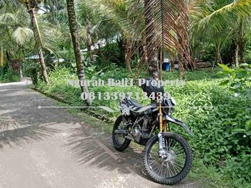 Dijual Tanah Murah Luas 4 Are Kawasan Villa di Ubud Pejeng