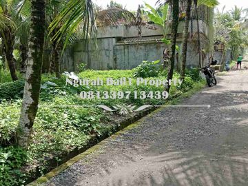 Dijual Tanah Murah Luas 4 Are Kawasan Villa di Ubud Pejeng