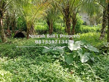 Dijual Tanah Murah Luas 4 Are Kawasan Villa di Ubud Pejeng