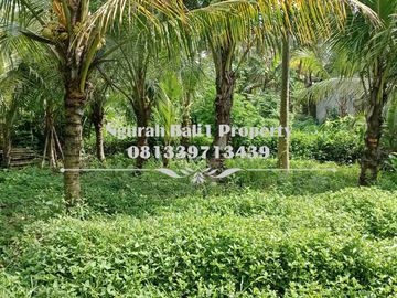 Dijual Tanah Murah Luas 4 Are Kawasan Villa di Ubud Pejeng