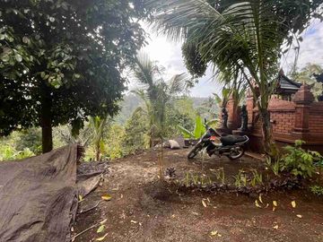 jual tanah kebun kopi Los sungai view sawah di pupuan tabanan bali.