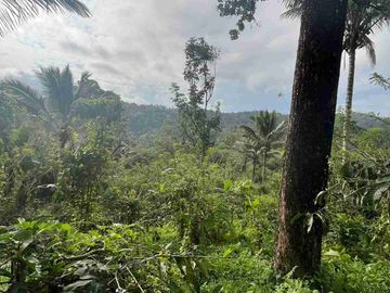 jual tanah kebun kopi Los sungai view sawah di pupuan tabanan bali.