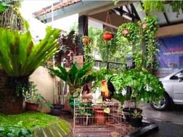 rumah di jalan bunga bunga suhat dekat dewandaru dekat bunga merak dan kampus UB Brawijaya. bagus buat hunian atau direnov jadi kos elite. bonus furniture