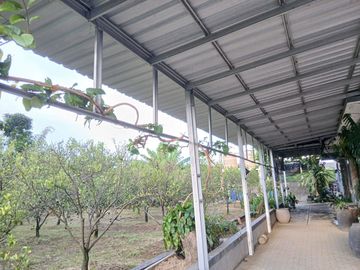 DIJUAL TANAH 1.954 m² DI JOYO AGUNG MALANG DEKAT KAMPUS – COCOK KOST & KOMERSIAL