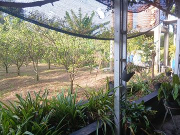 DIJUAL TANAH 1.954 m² DI JOYO AGUNG MALANG DEKAT KAMPUS – COCOK KOST & KOMERSIAL