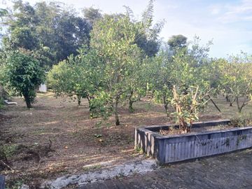 DIJUAL TANAH 1.954 m² DI JOYO AGUNG MALANG DEKAT KAMPUS – COCOK KOST & KOMERSIAL