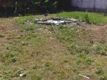 jual tanah kavling harga murah