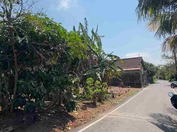 Dijual Tanah Murah Hook 280m2 Di Ungasan Bali