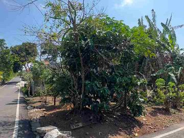 Dijual Tanah Murah Hook 280m2 Di Ungasan Bali